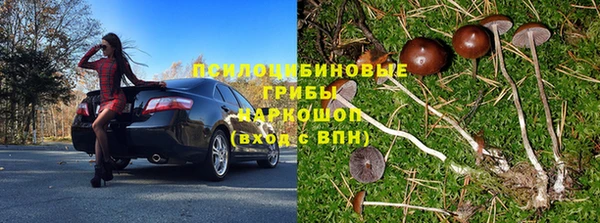 ALPHA PVP Беломорск