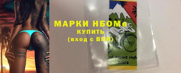 ECSTASY Белокуриха