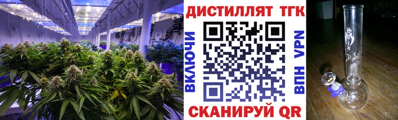MEGA как зайти  Судогда  ТГК вейп 