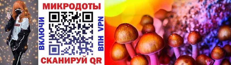 Псилоцибиновые грибы GOLDEN TEACHER Судогда